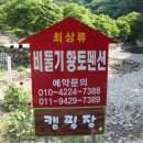 비둘기 펜션 이미지