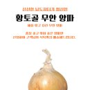 전남 무안 건강양파 소 사이즈 3kg 이미지