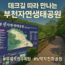 꽃피는 무릉도원 | [공지] [서포터즈]🍃도심 속 자연 힐링! 부천무릉도원수목원 방문기🌳