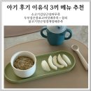 [D+287] 41주차 9개월 아기 후기 이유식 식단표 메뉴 추천 김 알레르기 테스트 참외 알레르기 테스트...