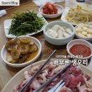 배부른생오리 이미지