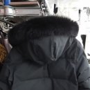 백조 명품 세탁 이미지