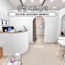 안산 기미 주근깨 관리 세르뷰티 콜드플라즈마 후기