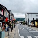 츠보