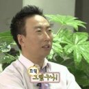 포쇼 네이버블로그