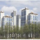 대전천(오투그란데아파트 앞) 이미지