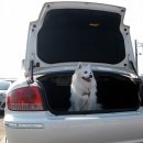 슬도주차장 이미지