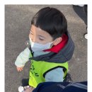 용인대 마스터진 태권도 | 용인대석사태권도의 3월 ㅡ 에버랜드🎢