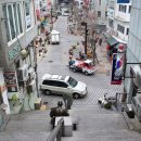 아코디언 켜는 사람 이미지