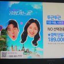 대마도1박2일 189000 이미지