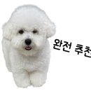 역북집 안성공도점 이미지