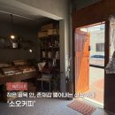 옛 시민회관 사거리2 | 제주 소오커피 | 시민회관 근처 삼도이동 신상 카페, 골목 안 레트로 감성 타르트 맛집