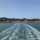 동거차도 구상 페페라이트 이미지