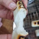 소소락락 이미지