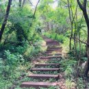 여강길(10-1코스 싸리산길) 이미지