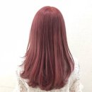 헤어칸토 이미지