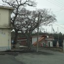 어은1구경로당 이미지