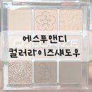 에스투엔디 S2ND 컬러라이즈섀도우 1호 나인트리 가을웜톤 발색 후기