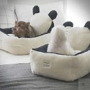 바오도그 이미지