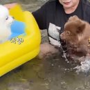 서초대로50길 14 이미지