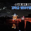 향원조경 | 2024 경복궁 별빛야행 야간개장 예매 예약 정보 후기(feat.외소주방)