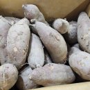 늘밤농원 이미지