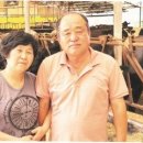 애축목장 이미지