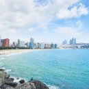 심플앤와이드 이미지