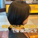 수석 | 분당 헤어샵 헤어다이아 추천 단발 레이어드 컷 매트브라운 염색 선영수석실장 후기