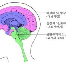 뉴런