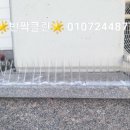 부흥로 339 네이버블로그