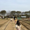강일 농장 이미지