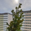 봉의농장 이미지