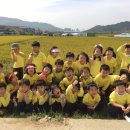 효동농장 이미지