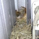 문경새재황토민박 이미지