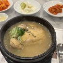 팔팔삼계탕 | 명동맛집 고봉삼계탕 (20000) 에서 내돈내산 혼밥후기