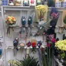 문산카서비스 이미지