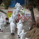 나왔다농장 이미지