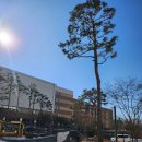 한라비발디정문 버스정류장 이미지