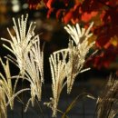 연필드로잉 이미지