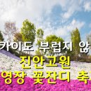 5월 10일(금) 테마여행/고창 청보리밭축제+진안고원 꽃잔디축제.♡25,000원.조중식(찰밥)제공.37석리무진운행 이미지