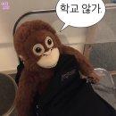 수희 이미지