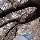 개금2동-3 이미지