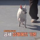 2행운농장 이미지