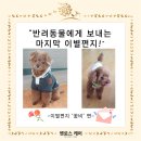 무지개케어 이미지