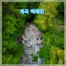 백운통신 이미지