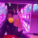 도사정일면 이미지
