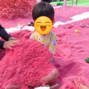 김종구부산어묵대구신 | 부산근교 대구근교 청도 아이와 가볼만한 곳 "봉식이 놀이터" 솔직후기