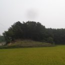 대한행정사호남사무소 이미지
