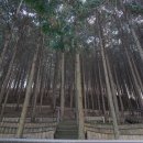 희망화원 이미지